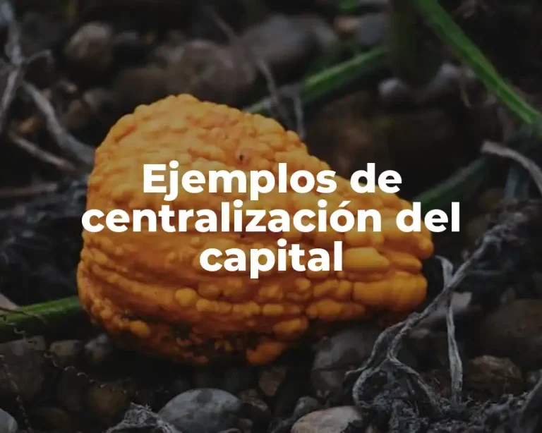 Ejemplos de centralización del capital