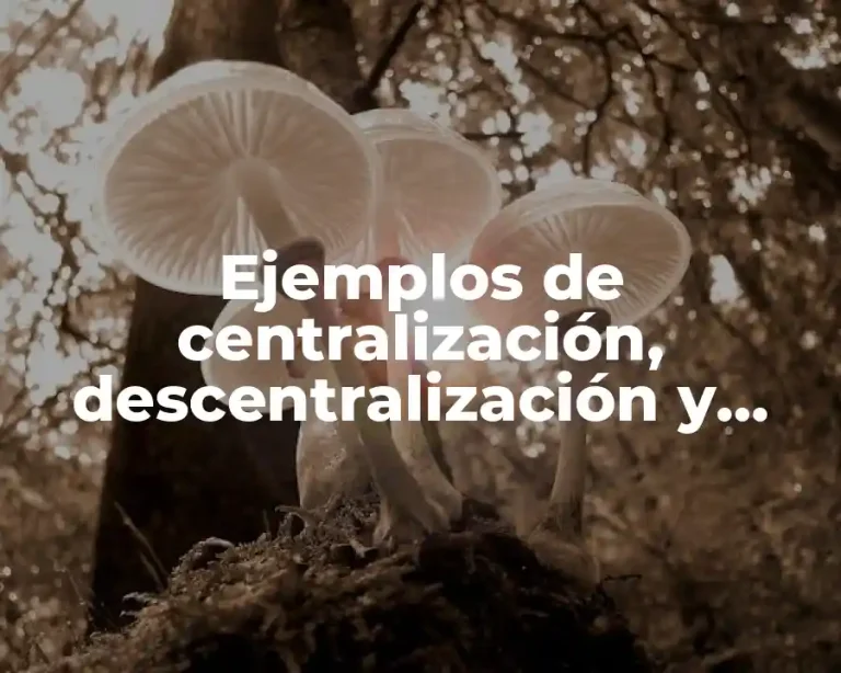 Ejemplos de centralización, descentralización y desconcentración