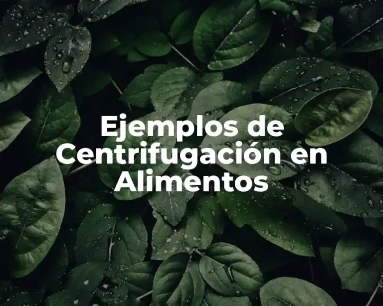 Ejemplos de Centrifugación en Alimentos