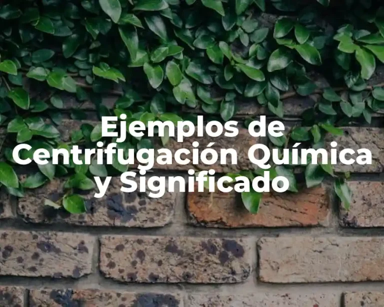 Ejemplos de Centrifugación Química y Significado