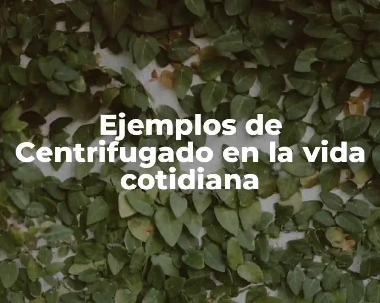 Ejemplos de Centrifugado en la vida cotidiana