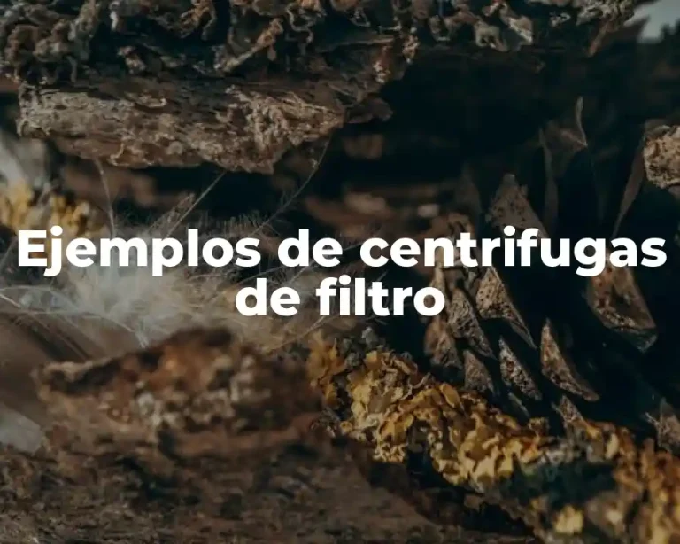 Ejemplos de centrifugas de filtro
