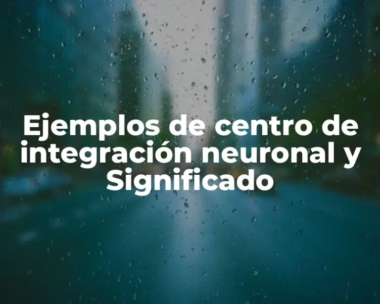 Ejemplos de centro de integración neuronal y Significado