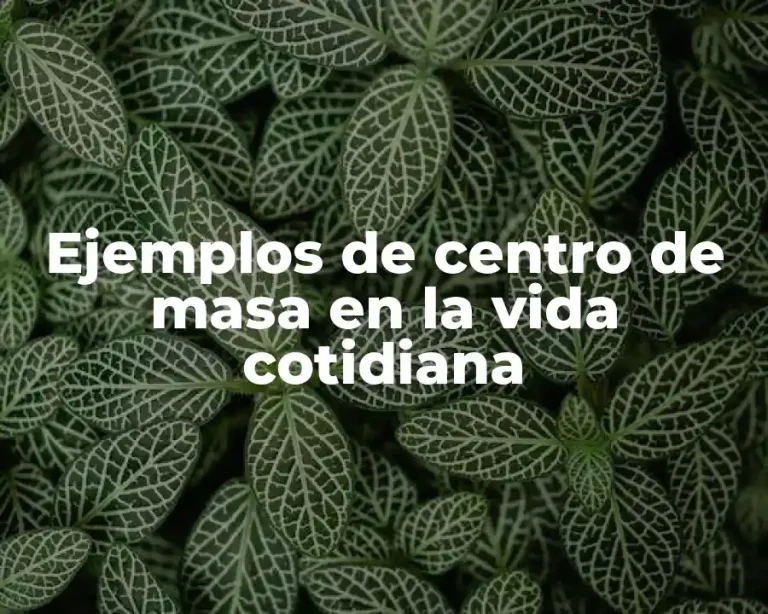 Ejemplos de centro de masa en la vida cotidiana