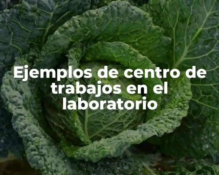 Ejemplos de centro de trabajos en el laboratorio