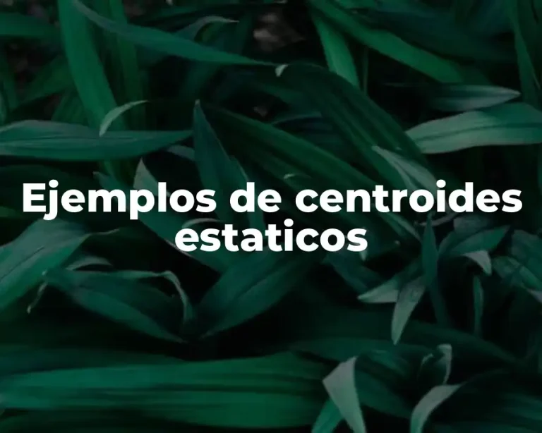 Ejemplos de centroides estaticos