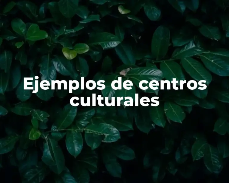 Ejemplos de centros culturales