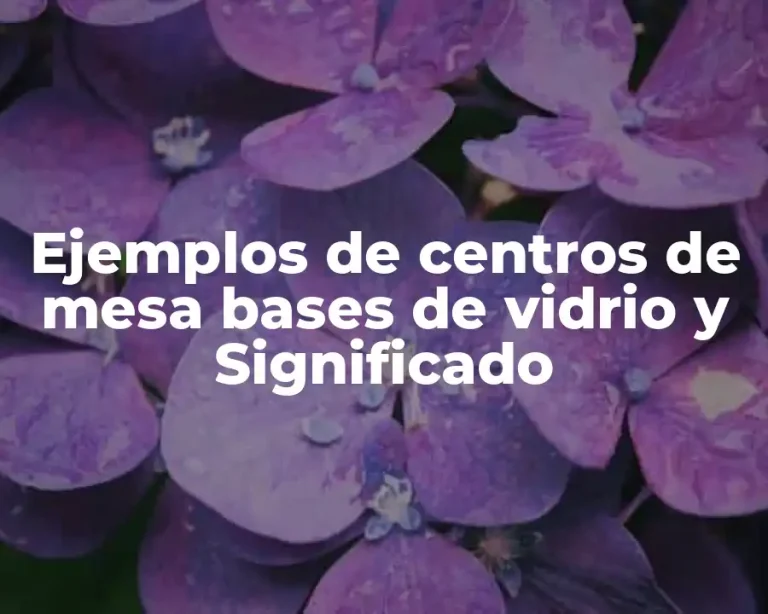 Ejemplos de centros de mesa bases de vidrio y Significado