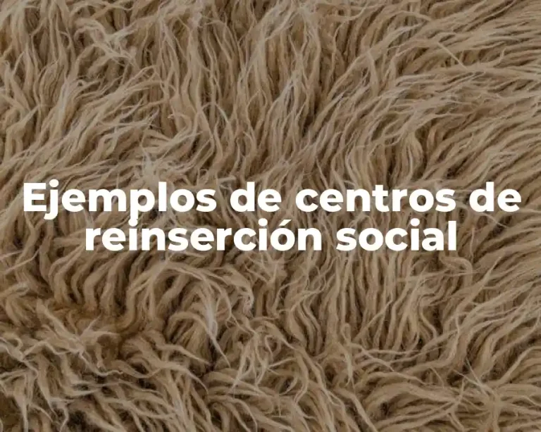 Ejemplos de centros de reinserción social
