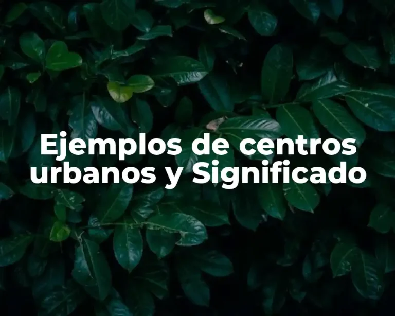 Ejemplos de centros urbanos y Significado