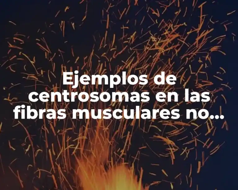 Ejemplos de centrosomas en las fibras musculares no mebranosos