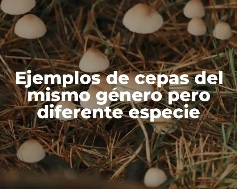 Ejemplos de cepas del mismo género pero diferente especie