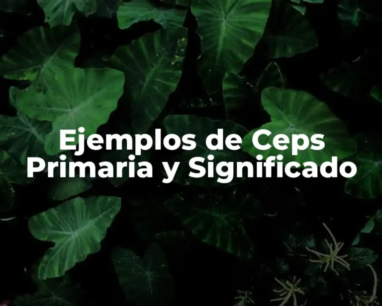 Ejemplos de Ceps Primaria y Significado