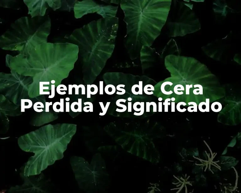 Ejemplos de Cera Perdida y Significado