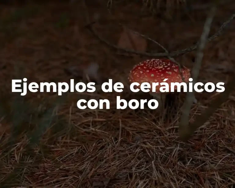 Ejemplos de cerámicos con boro