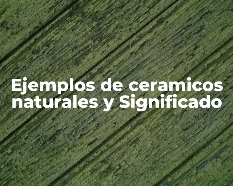 Ejemplos de ceramicos naturales y Significado