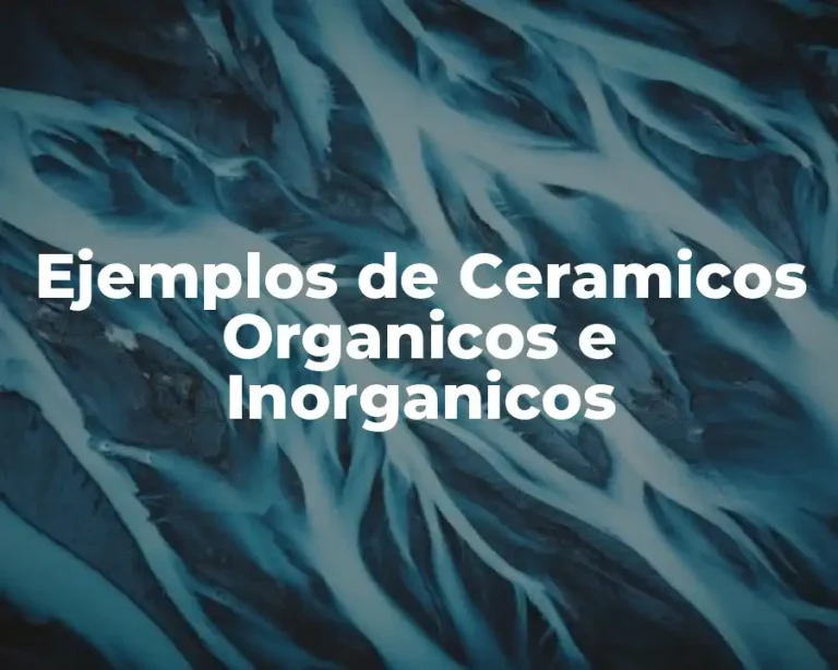 Ejemplos de Ceramicos Organicos e Inorganicos