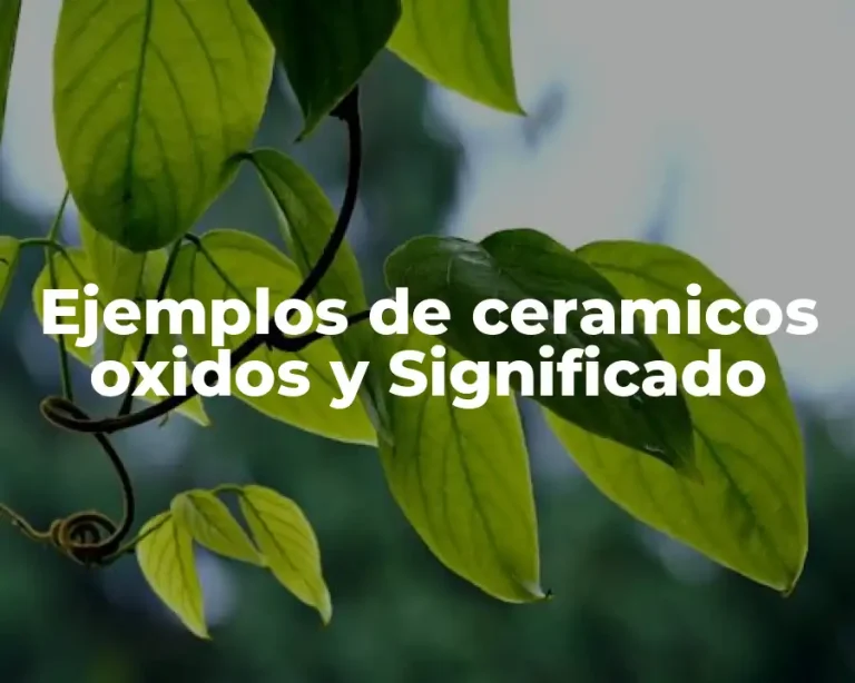 Ejemplos de ceramicos oxidos y Significado