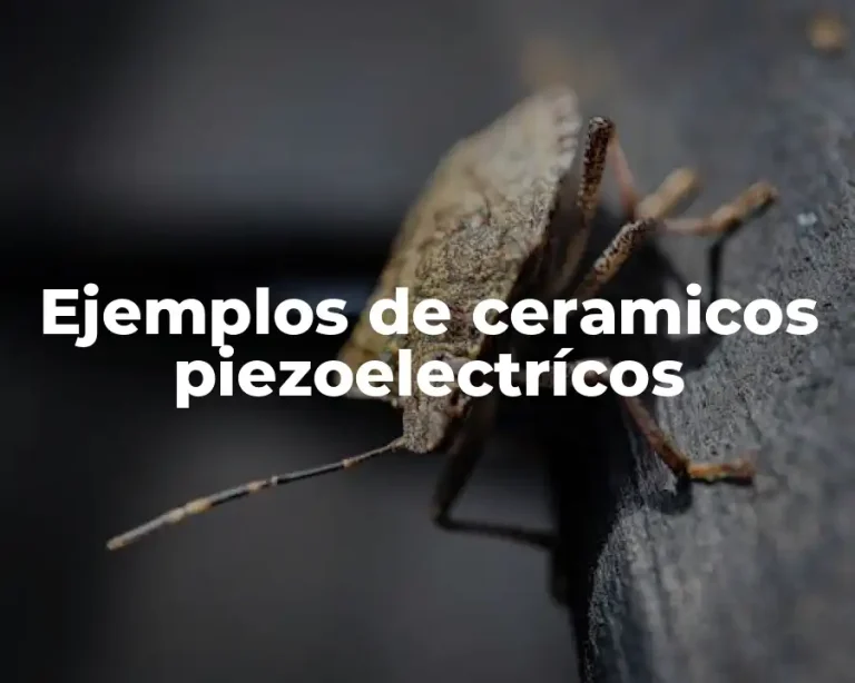Ejemplos de ceramicos piezoelectrícos