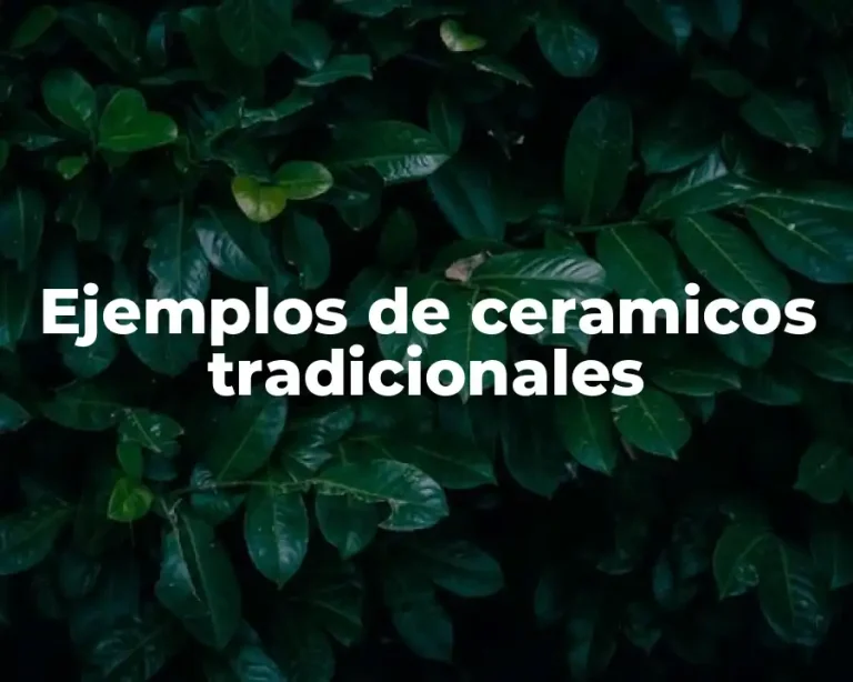 Ejemplos de ceramicos tradicionales