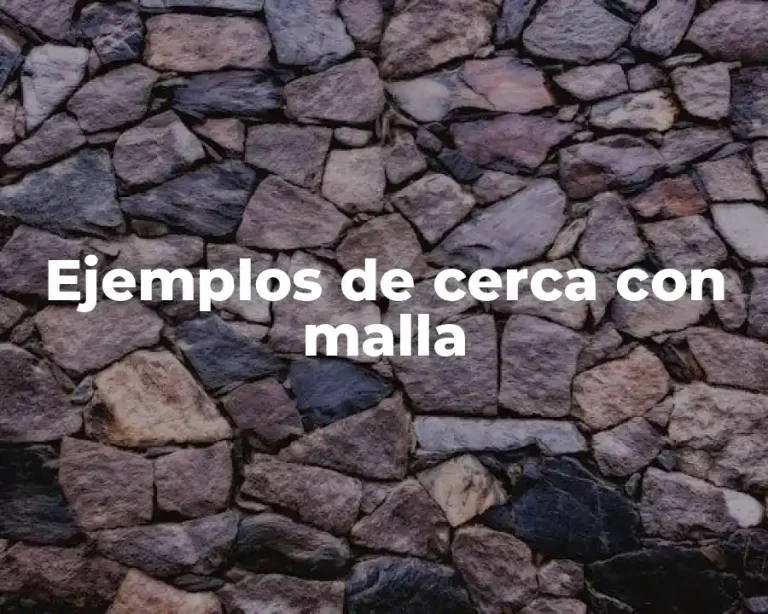 Ejemplos de cerca con malla
