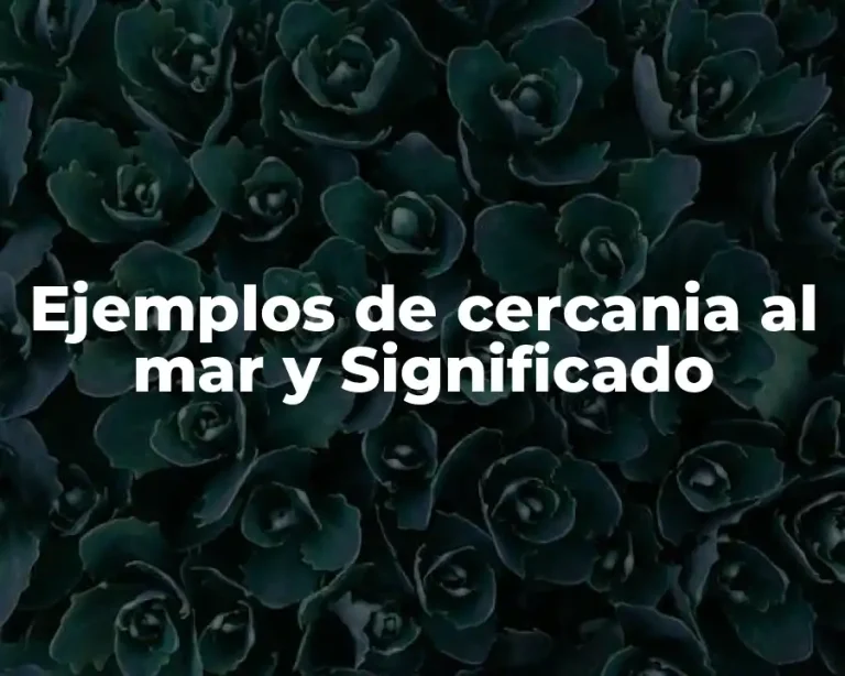Ejemplos de cercania al mar y Significado