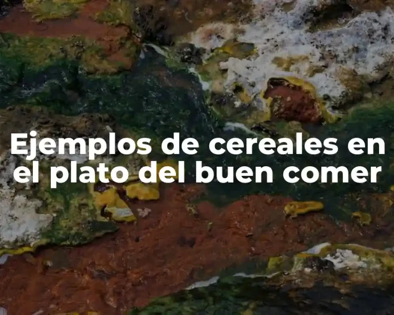 Ejemplos de cereales en el plato del buen comer