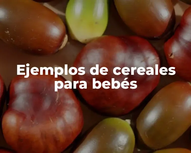 Ejemplos de cereales para bebés