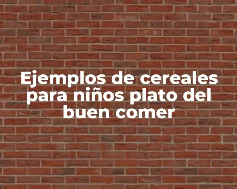 Ejemplos de cereales para niños plato del buen comer