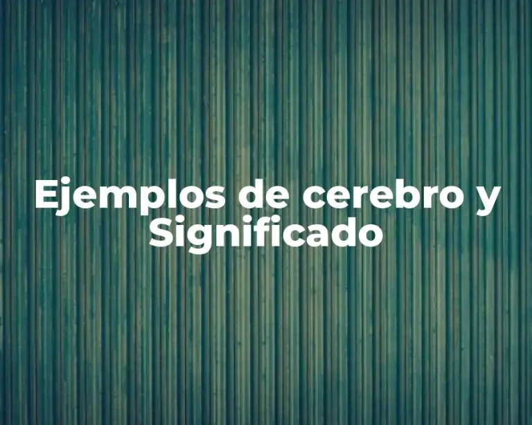 Ejemplos de cerebro y Significado