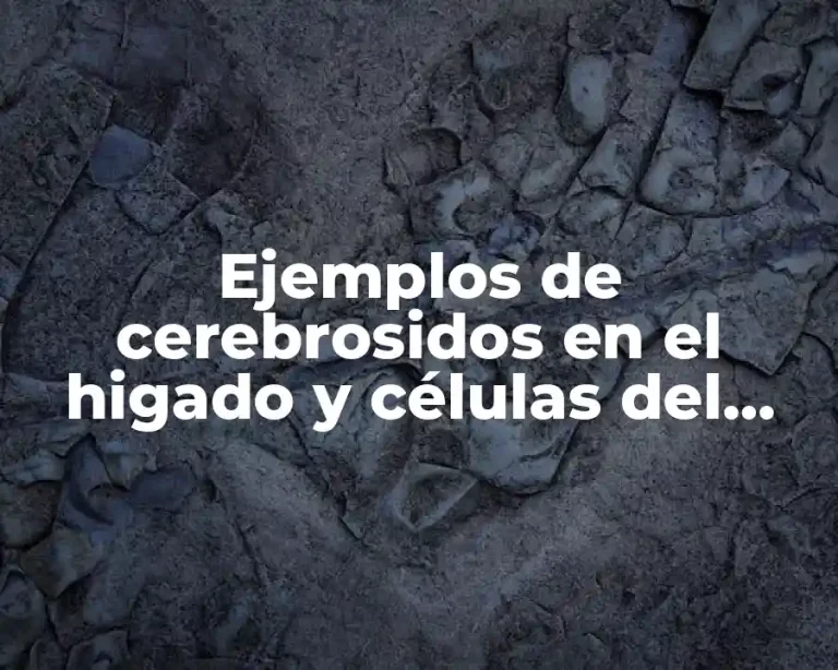 Ejemplos de cerebrosidos en el higado y células del brazo