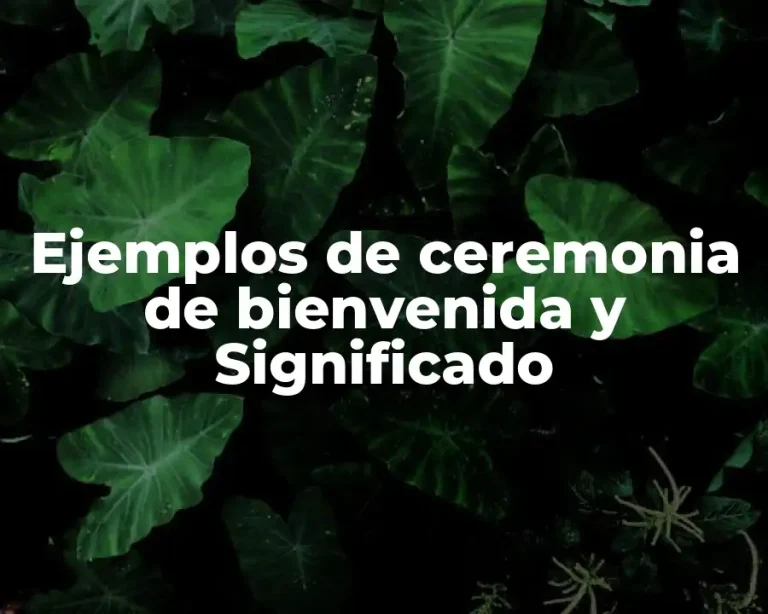 Ejemplos de ceremonia de bienvenida y Significado