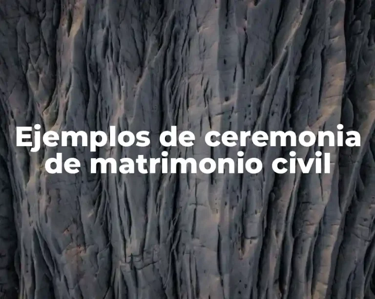 Ejemplos de ceremonia de matrimonio civil