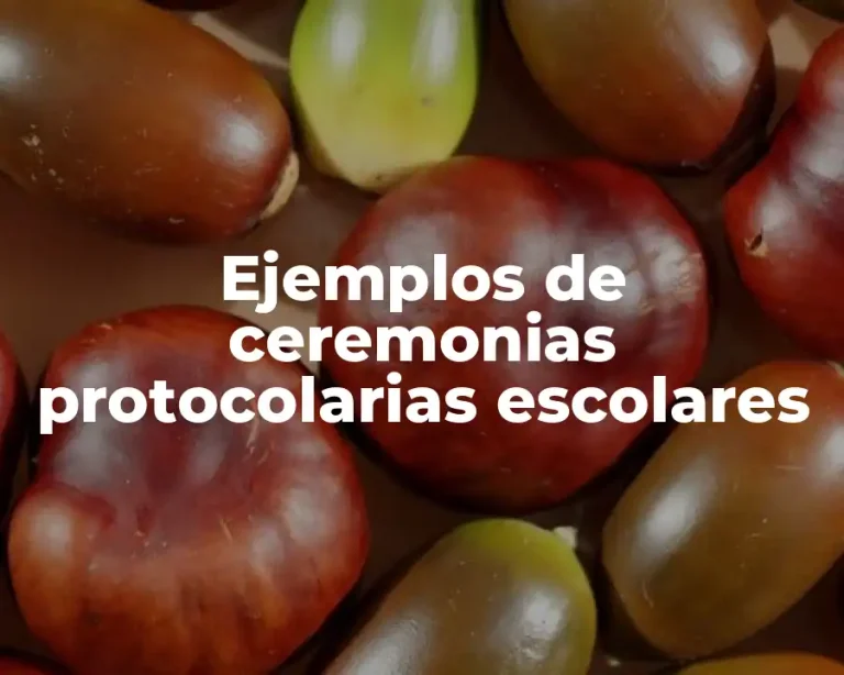 Ejemplos de ceremonias protocolarias escolares