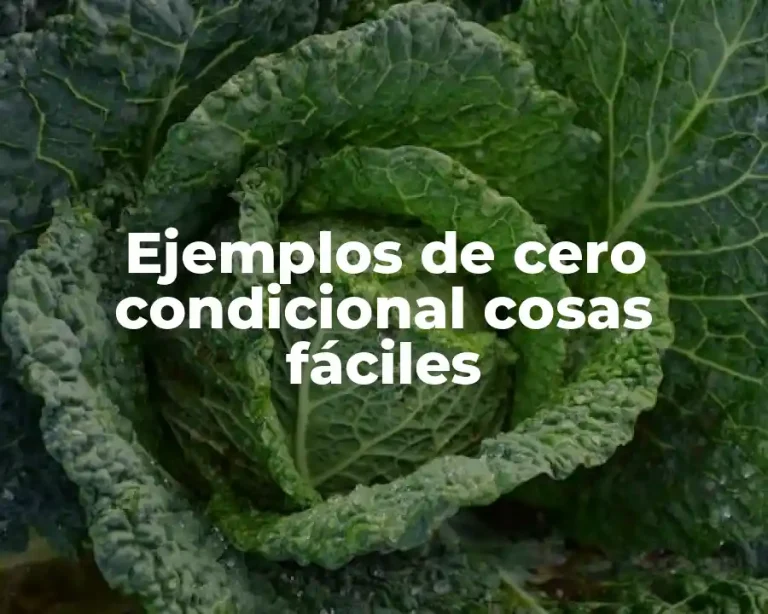 Ejemplos de cero condicional cosas fáciles
