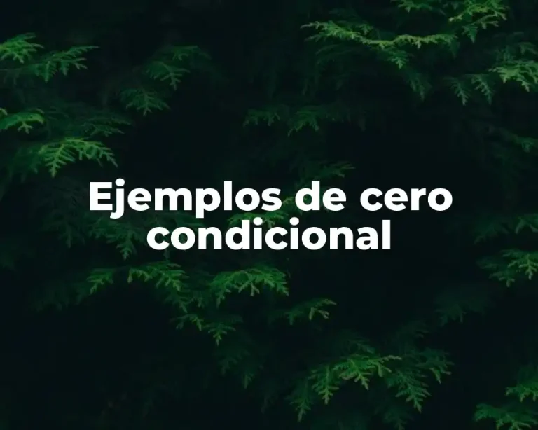 Ejemplos de cero condicional