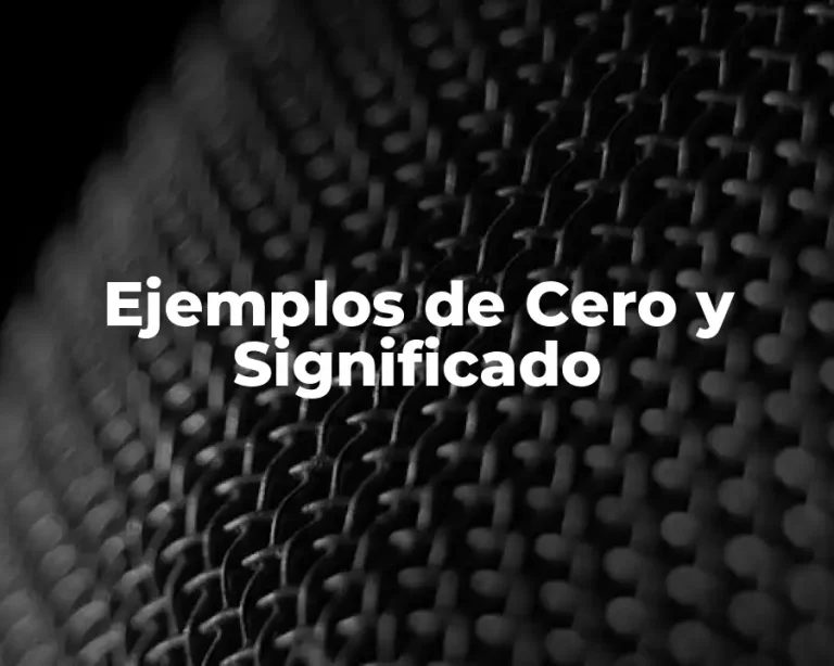Ejemplos de Cero y Significado