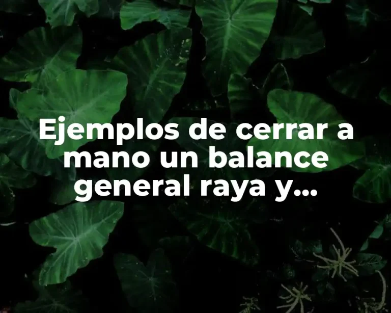 Ejemplos de cerrar a mano un balance general raya y Significado