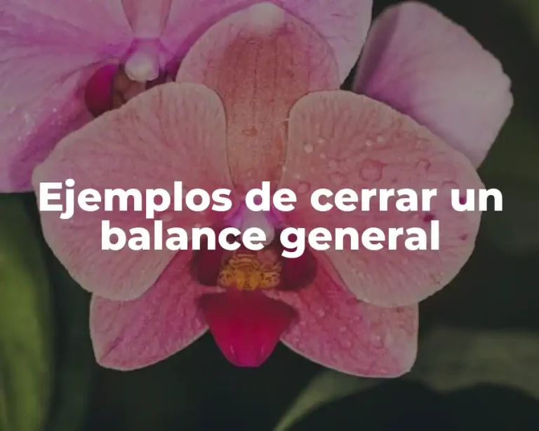 Ejemplos de cerrar un balance general