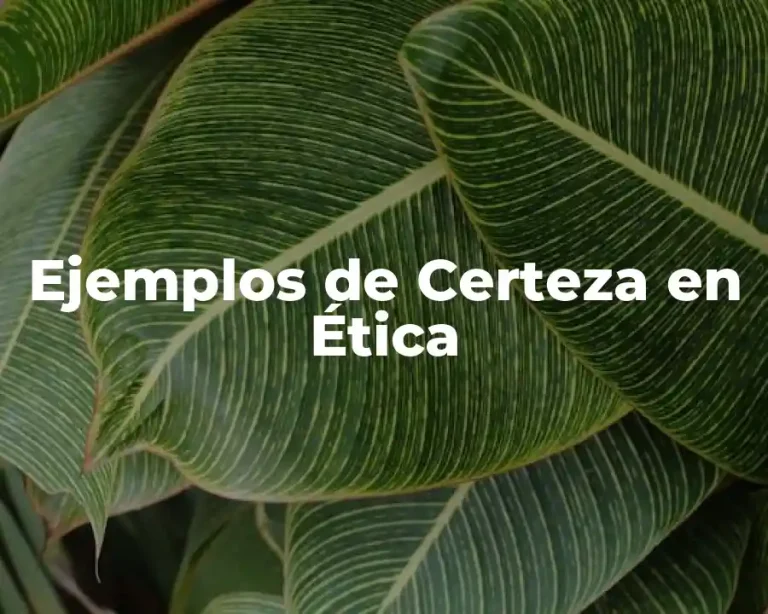 Ejemplos de Certeza en Ética