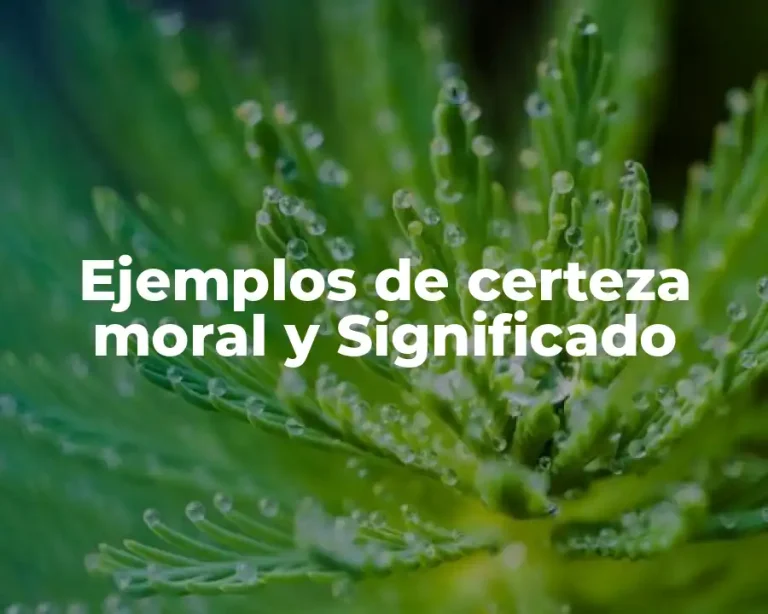 Ejemplos de certeza moral y Significado