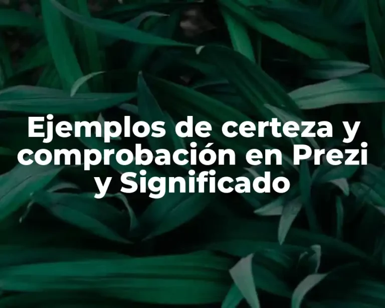 Ejemplos de certeza y comprobación en Prezi y Significado