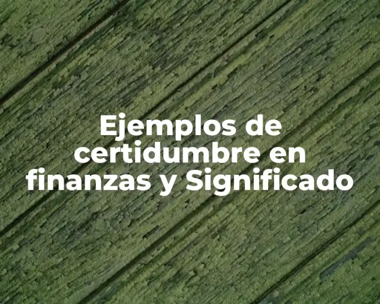 Ejemplos de certidumbre en finanzas y Significado