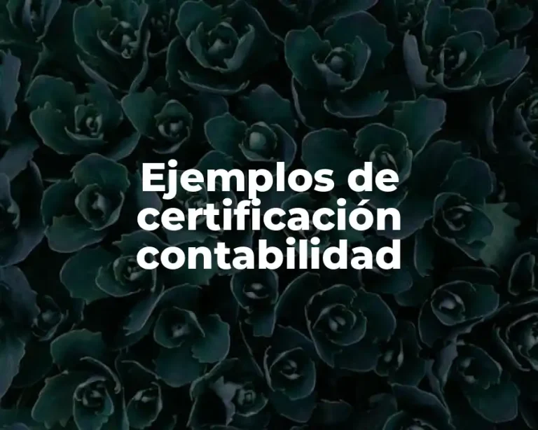 Ejemplos de certificación contabilidad