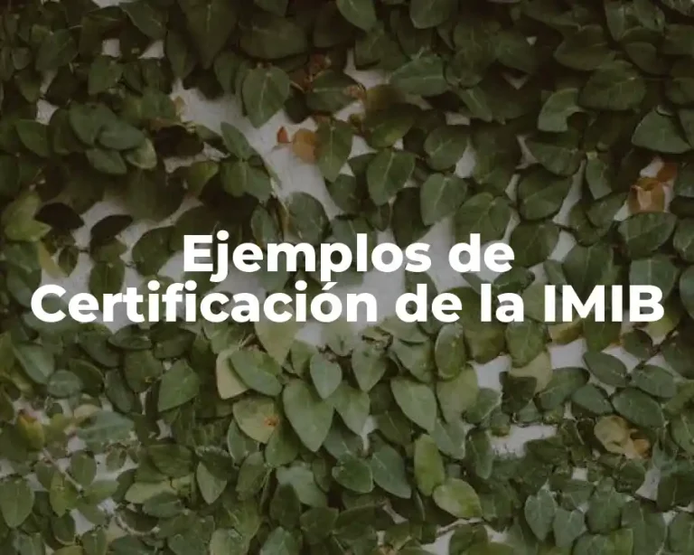 Ejemplos de Certificación de la IMIB