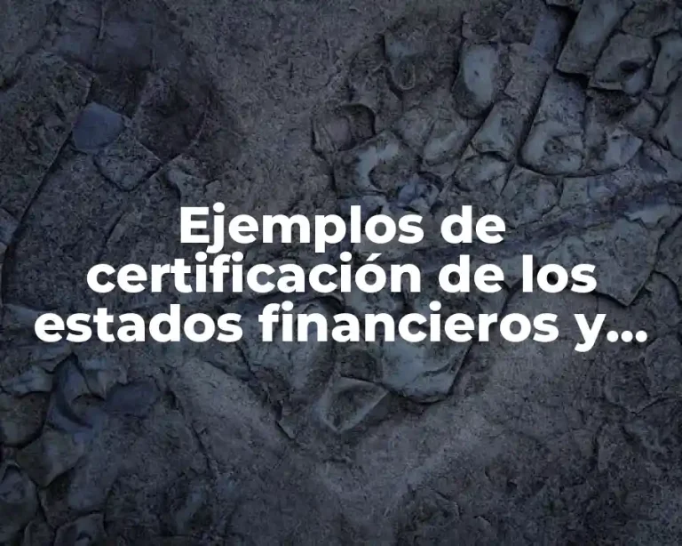Ejemplos de certificación de los estados financieros y Significado