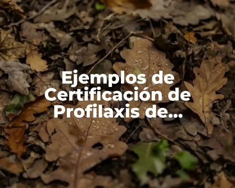 Ejemplos de Certificación de Profilaxis de Resistencia a los Fármacos (CPFR) y Significado