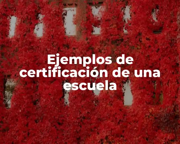 Ejemplos de certificación de una escuela