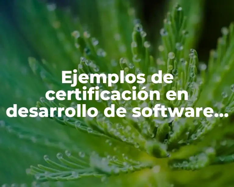 Ejemplos de certificación en desarrollo de software y Significado