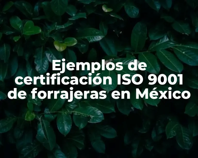 Ejemplos de certificación ISO 9001 de forrajeras en México